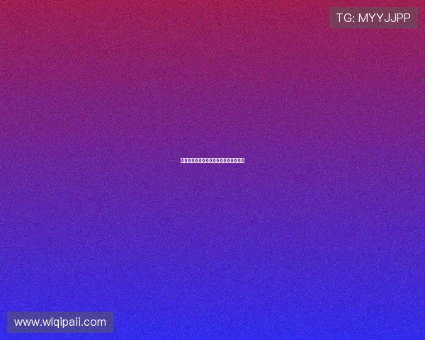 深入探讨博猫娱乐平台官网的特色与优势